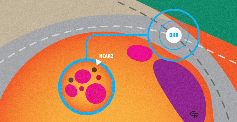 A digital illustration of a cancer cell